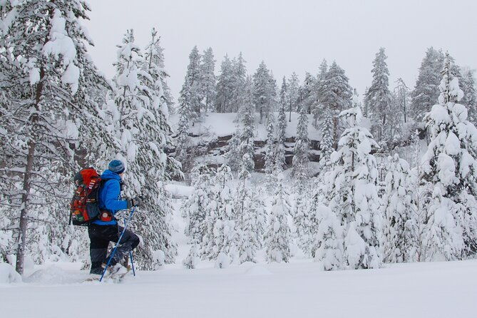 small-group-snowshoeing-adventure-in-lapland