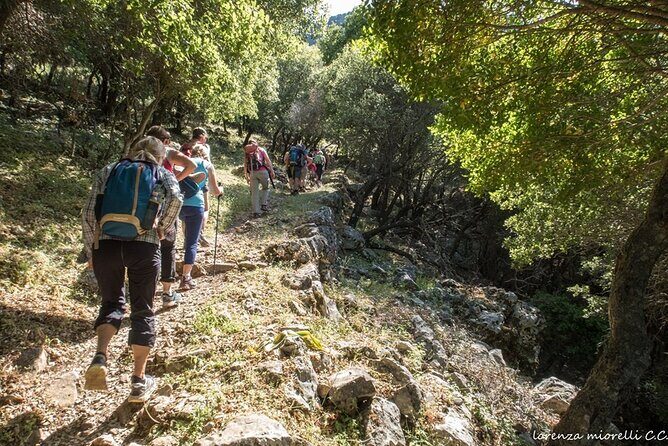 Small Group Sunset Hiking from Salakos to Profitis Ilias - Final Thoughts