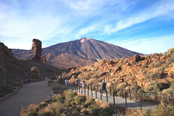 small-group-teide-national-park-volcanic-and-forest-wonders