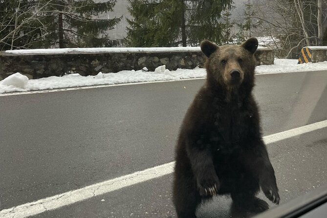 small-group-the-top-gear-road-transfagarasan-max-8-pax