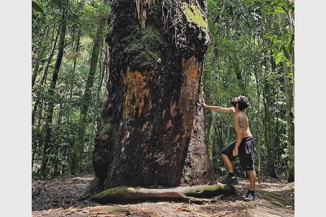 small-group-tijuca-forest-guided-tour