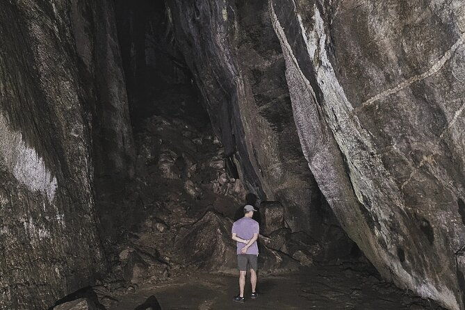 small-group-tijuca-forest-guided-tour