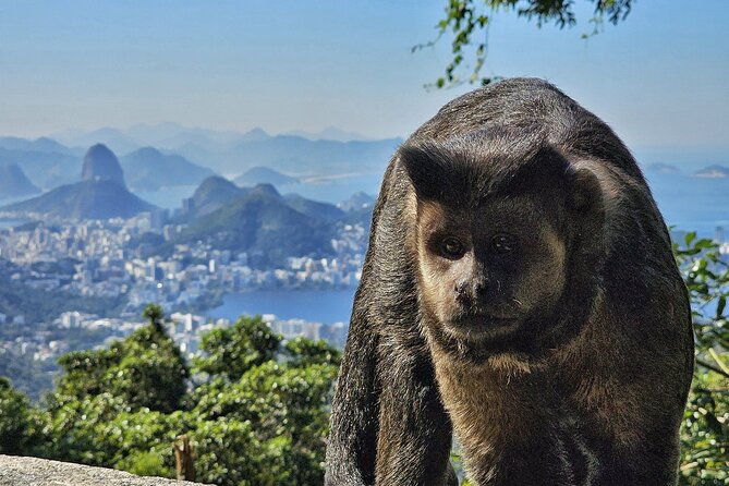 small-group-tijuca-forest-guided-tour