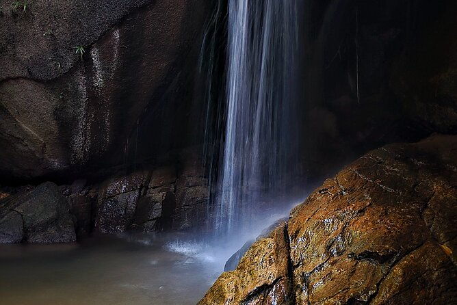 small-group-tijuca-forest-guided-tour