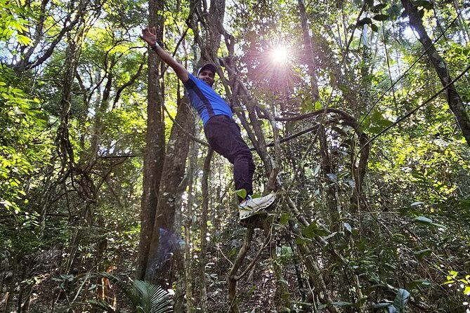 small-group-tijuca-forest-guided-tour