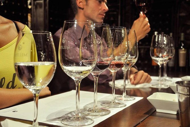 small-group-tour-3-wineries-in-lujan-de-cuyo-or-maipu-with-lunch