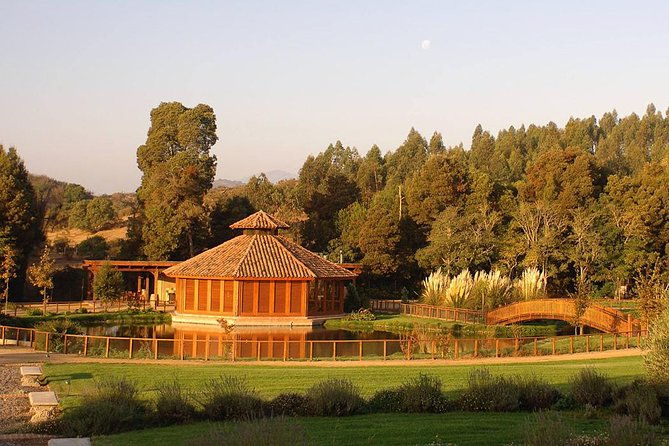 small-group-tour-at-matetic-vineyard-in-rosario-valley-from-santiago