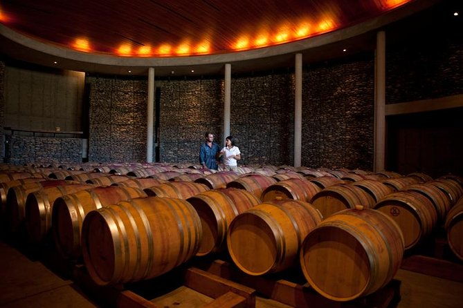 small-group-tour-at-matetic-vineyard-in-rosario-valley-from-santiago