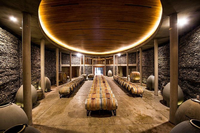 small-group-tour-at-matetic-vineyard-in-rosario-valley-from-santiago