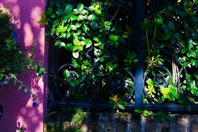 Small-Group Tour: Charleston Old Walled City Historical Walking Tour - Practical Details and Tips