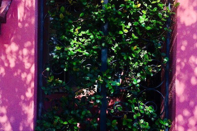 Small-Group Tour: Charleston Old Walled City Historical Walking Tour - FAQ