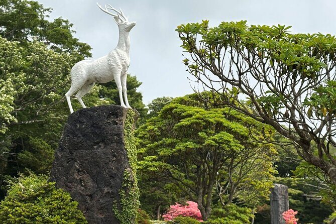 Small Group Tour in South Jeju including Yacht, Falls & Mt.Halla - The Sum Up