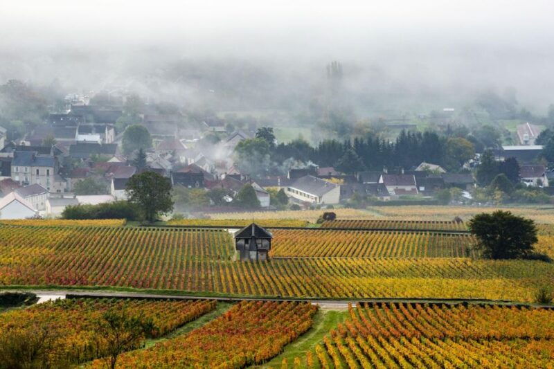 small-group-tour-morning-in-cote-de-beaune