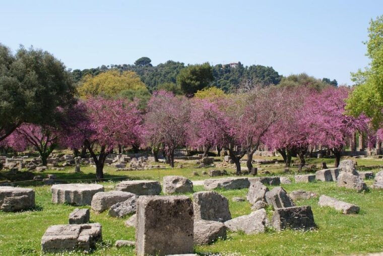 small-group-tour-of-ancient-olympia-and-local-food-tasting-2