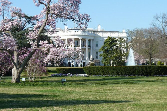 small-group-tour-of-dc-with-reserved-national-archives-entry