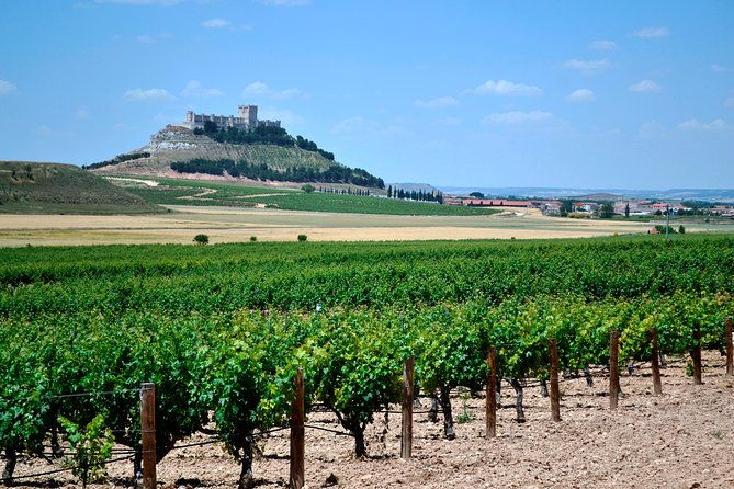 small-group-tour-ribera-del-duero-super-taster-with-lunch