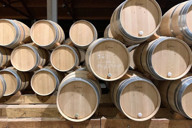 small-group-tour-ribera-del-duero-super-taster-with-lunch