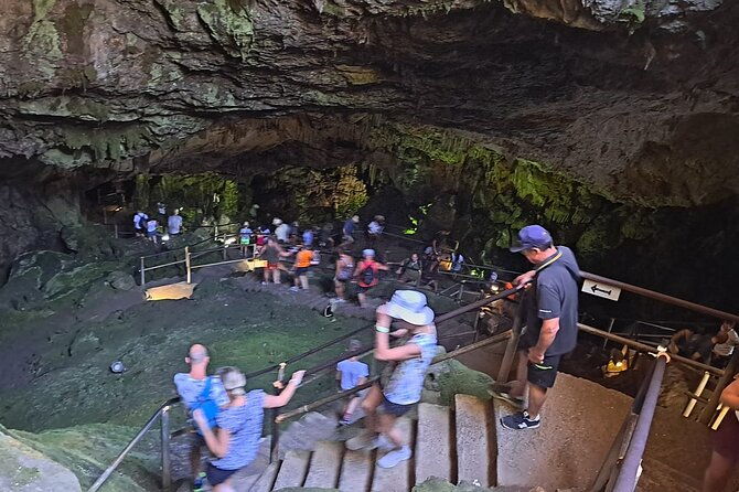 small-group-tour-to-knossos-palace-lasithi-plateau-olive-mill