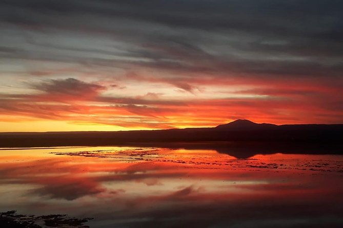 small-group-tour-to-laguna-cejar-ojos-del-salar-and-laguna-tebinquinche