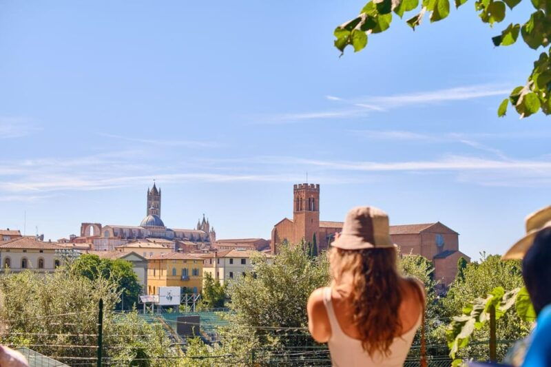 small-group-tour-to-siena-san-gimignano-with-chianti-wine