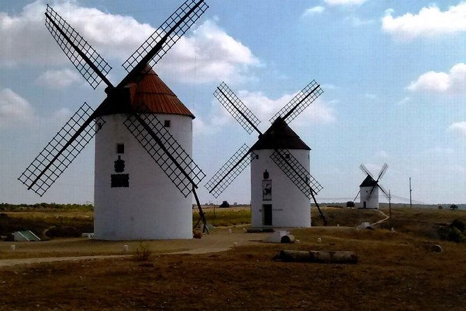 small-group-tour-to-toledo-windmills-winery-tour-with-lunch