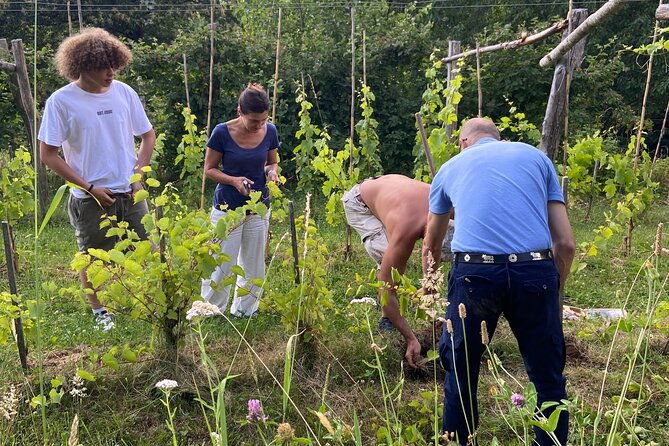 small-group-tour-with-prosecco-wine-tasting-from-venice