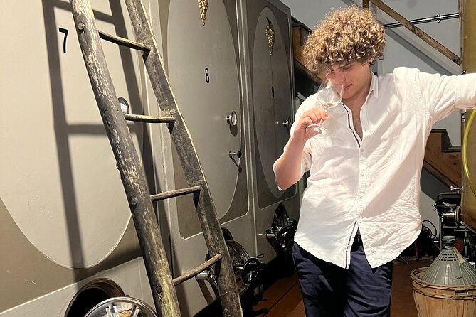 small-group-tour-with-prosecco-wine-tasting-from-venice