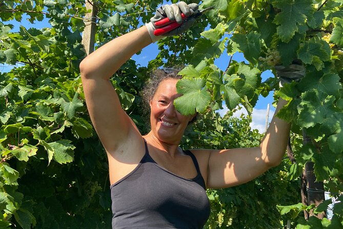 small-group-tour-with-prosecco-wine-tasting-from-venice