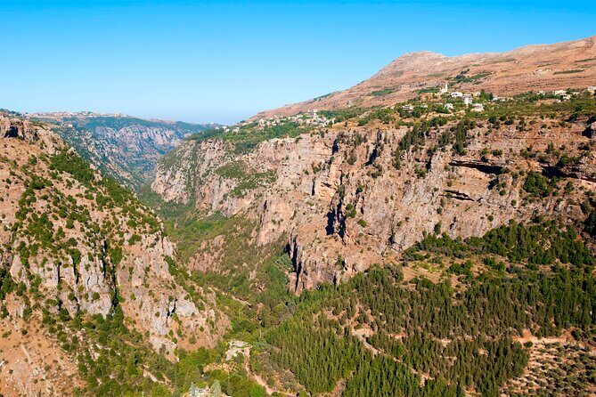 Small Group Tours from to Baalbek, Cedars and Qozhaya with lunch and all fees - Who Should Book This Tour?