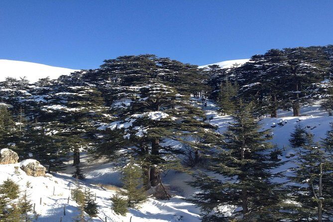 Small Group Tours to Qadisha Valley, Bcharre and Cedars with lunch and all fees - FAQs