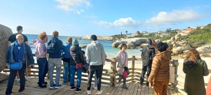 Small Group Trip of Table Mountain, Penguins, and Cape Point - The Transport and Group Size: Why They Matter