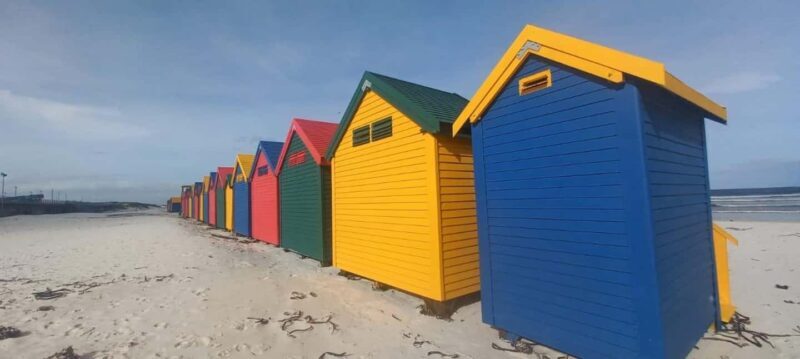 Small Group Trip of Table Mountain, Penguins, and Cape Point - The Itinerary: A Day Filled with Spectacular Views and Wildlife