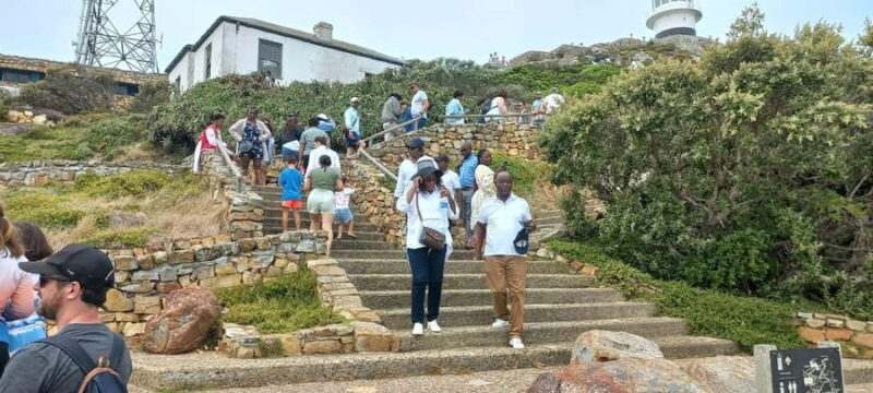 Small Group Trip of Table Mountain, Penguins, and Cape Point - Authentic Insights from Reviewers