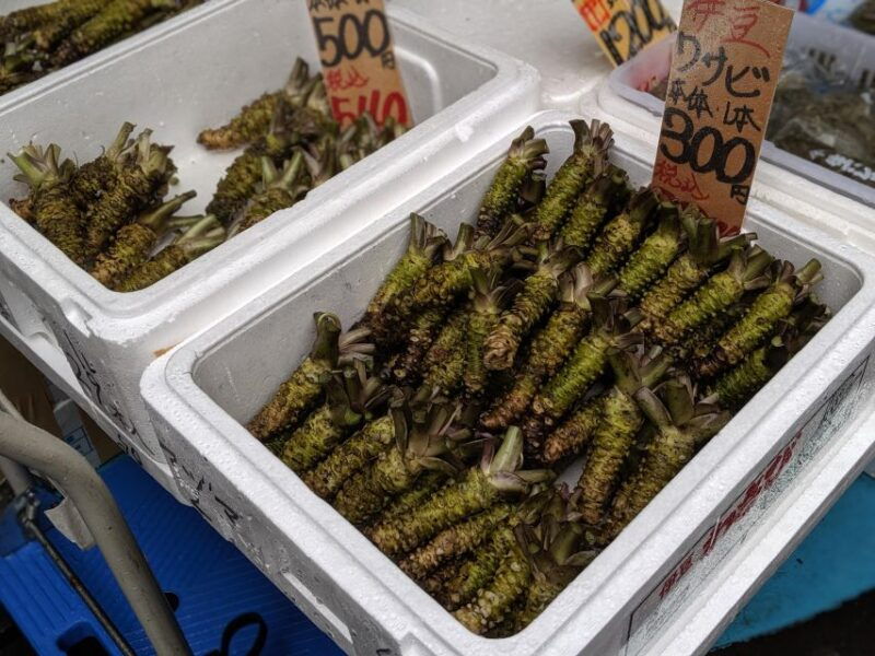 small-group-tsukiji-fish-market-food-tour