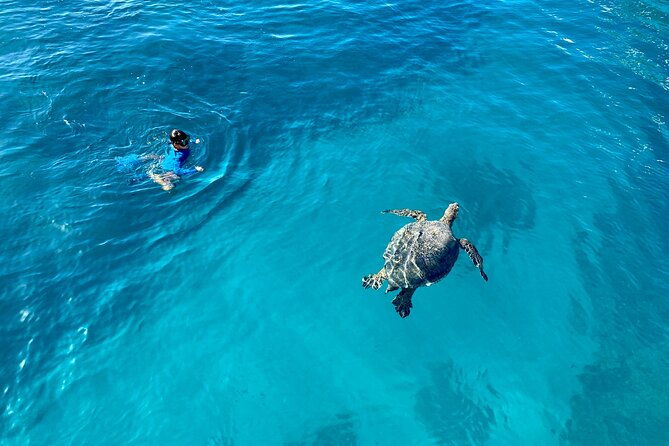 small-group-turtle-canyon-snorkel-in-waikiki