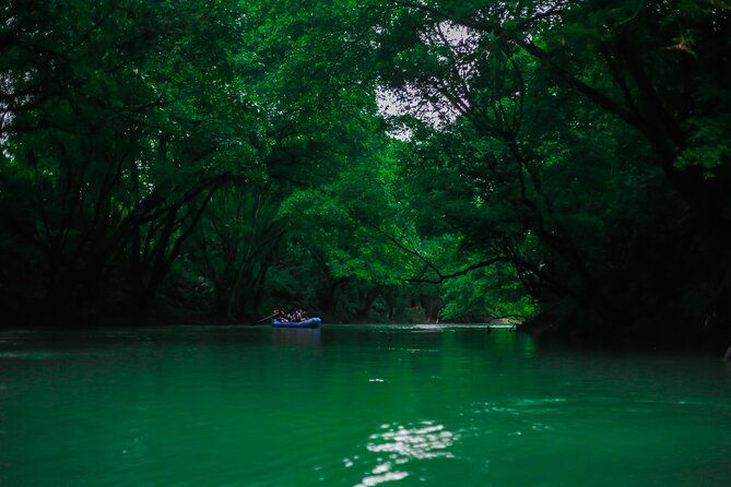small-group-twilight-wildlife-boat-tour-in-la-fortuna