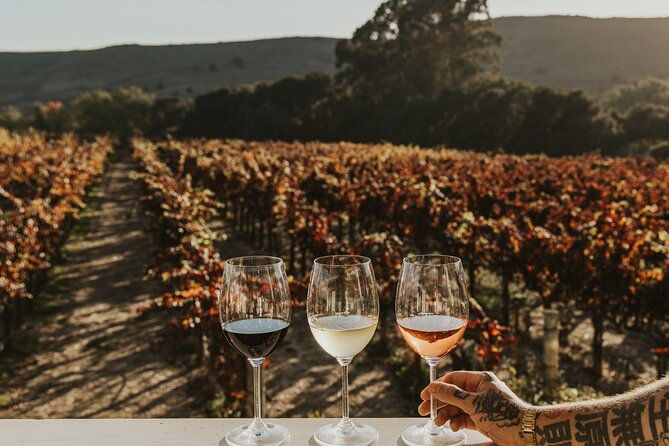 small-group-ultimate-napa-sonoma-wine-tour-from-san-francisco