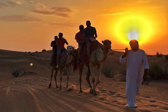 Small-Group UTV Desert Adventure with Camel Ride Experience - Who Would Love This Tour?