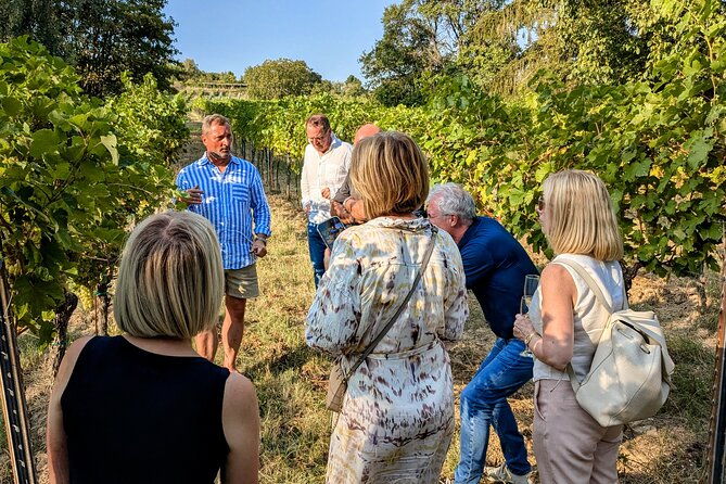 small-group-vienna-wine-tour