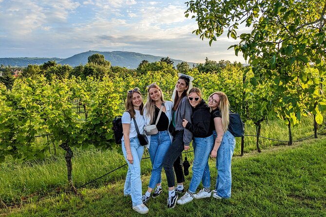 small-group-vienna-wine-tour