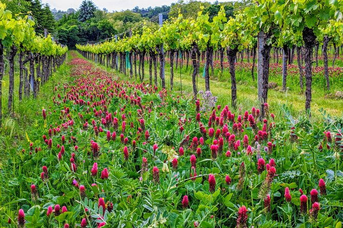 small-group-vienna-wine-tour