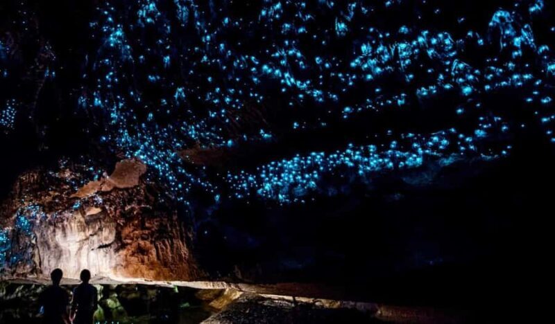 Small-Group Waitomo Glowworm Caves Day Tour from Auckland - Introducing the Tour Experience
