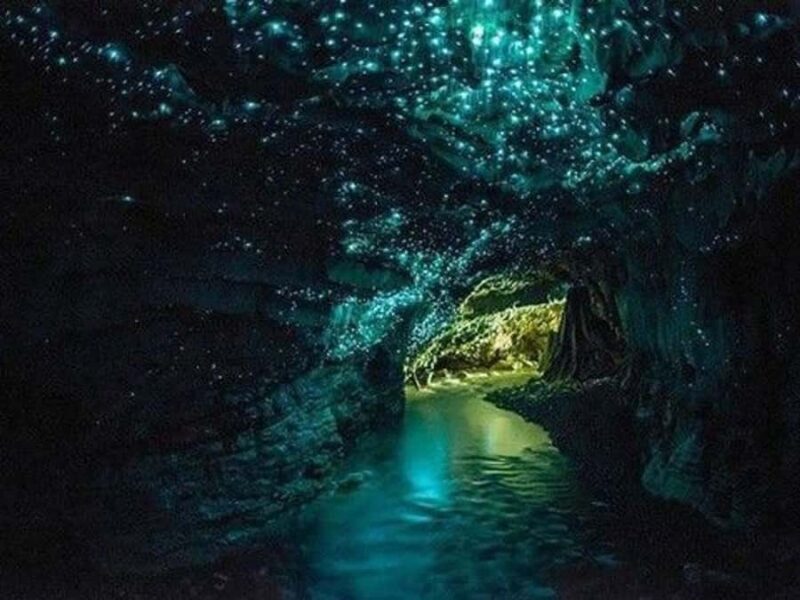 Small-Group Waitomo Glowworm Caves Day Tour from Auckland - Who Is This Tour Best For?