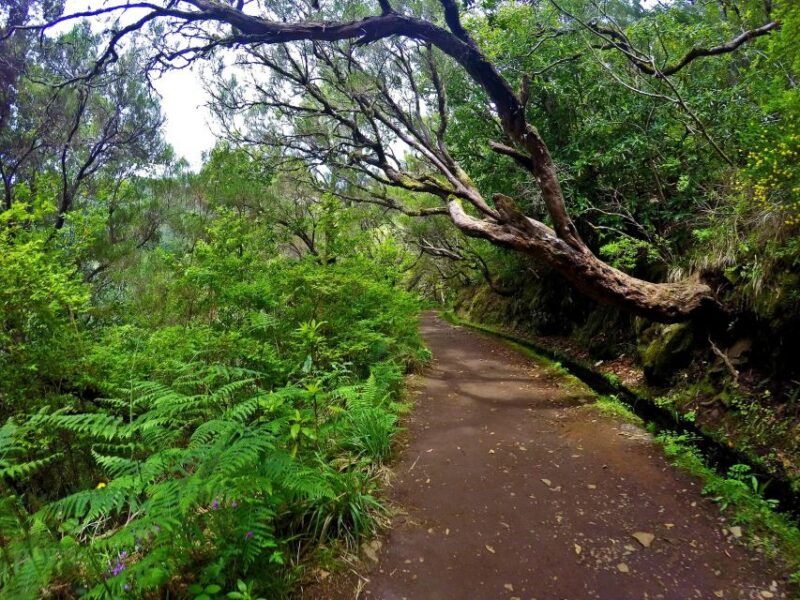small-group-walks-rabacal-25-fontes