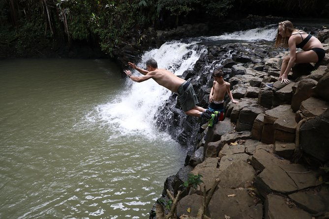 small-group-waterfall-and-rainforest-hiking-adventure-on-maui