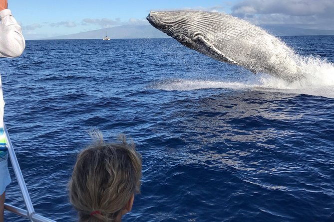 small-group-whale-watching-adventure