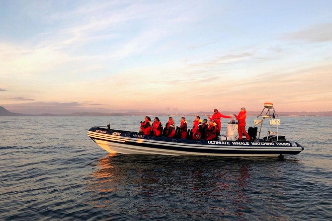 small-group-whale-watching-in-the-midnight-sun-from-reykjavik