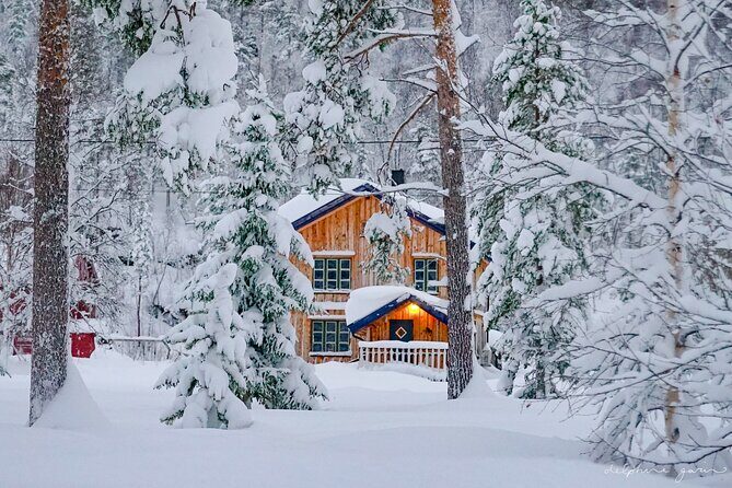 Small Group Wilderness Husky Sledding 2h from Tromsø (car needed) - Who will love this experience?  