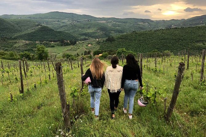 small-group-wine-tasting-in-tuscany-with-vineyard-visit