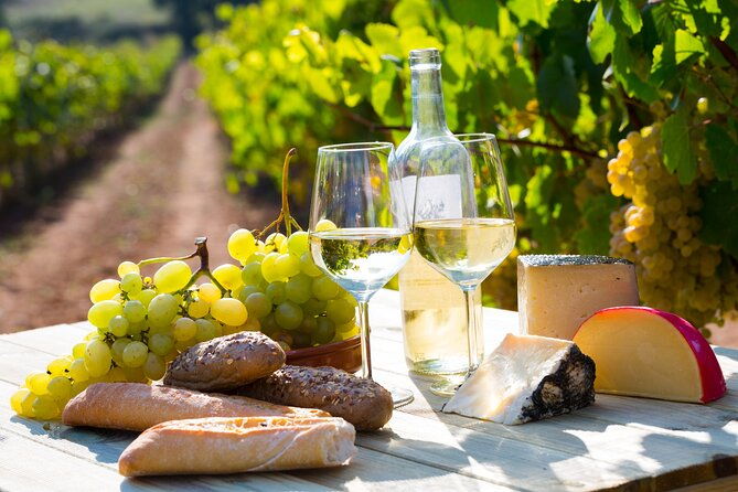 small-group-wine-tasting-tour-cote-de-beaune-and-cote-de-nuits